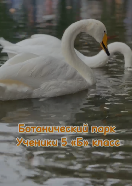 «Ботанический сад»