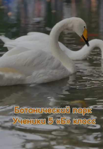 «Ботанический сад» 