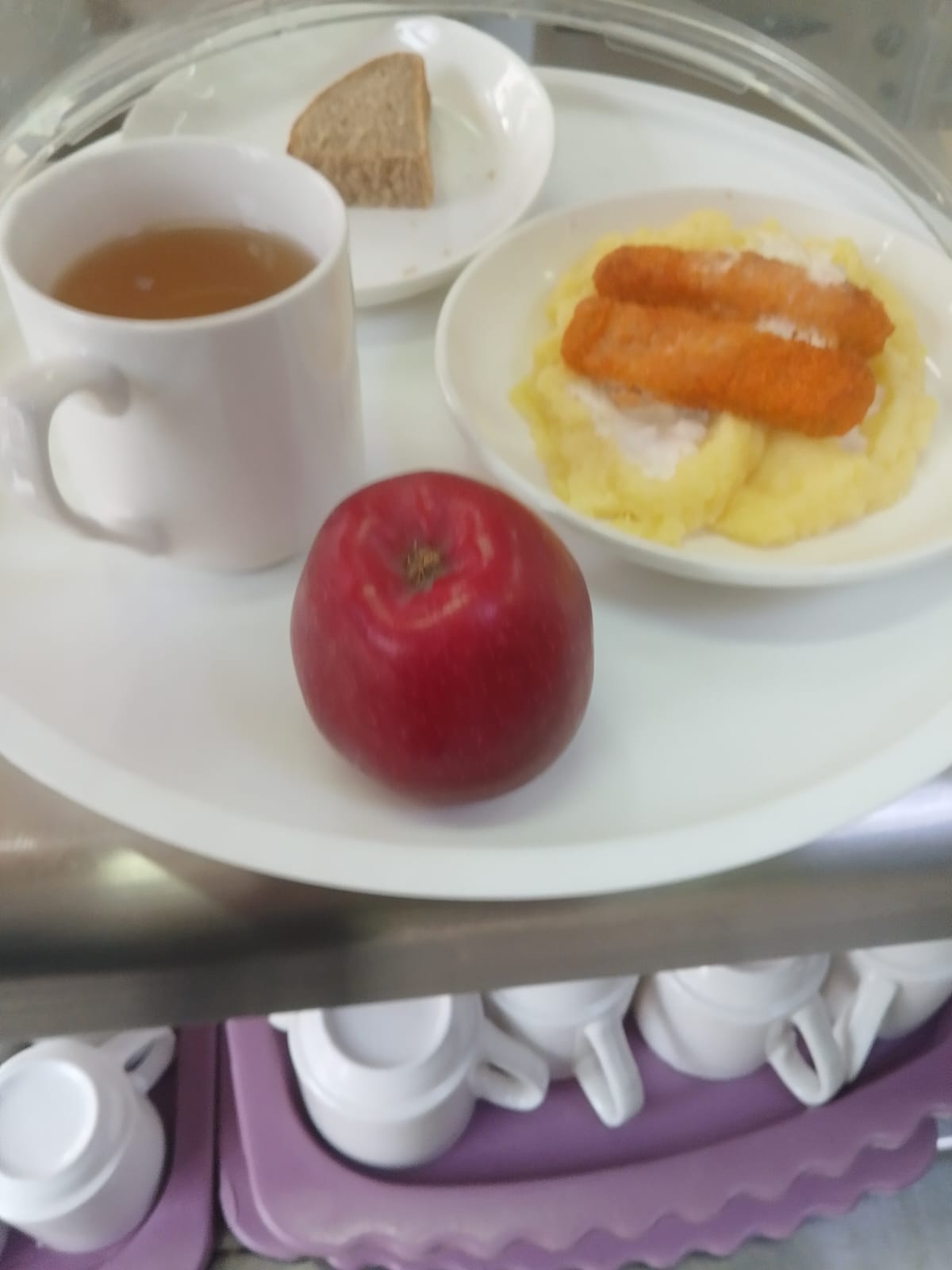 Тамақтың фото мен мәзірі 08.01.2026